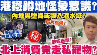 港鐵月台現蹲地怪象？北上消費連寵物都買再走私？內地男墮海或漂入港水域？13112023 [upl. by Htelimay]