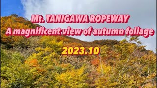 MtTanigawa Ropeway autumn foliage [upl. by Bright]