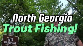 Trout Fishing North Georgia Part I Tallulah River Warwoman Earls Ford Soque River Saras Creek [upl. by Lyssa]