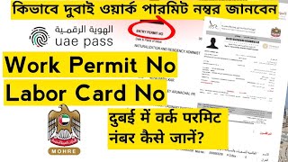 work permit number in UAE Dubaiiloe mohre App work permit number problem [upl. by Namia173]