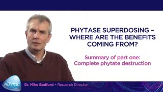 SUMMARY  Superdosing  Part 1 complete phytate destruction [upl. by Ettenal]