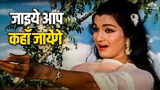 Jaaiye Aap Kahan Jayenge  Asha Bhosle  Asha Parekh Biswajit Chatterjee  Mere Sanam [upl. by Pansir]