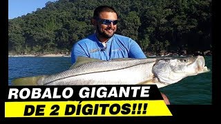 O MAIOR ROBALO DE 2 DÍGITOS QUE PEGUEI  ISCA BOA PARA ROBALO GIGANTE [upl. by Ennylyak]