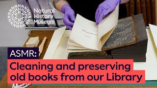 Cleaning and preserving old books from our Library  ASMR [upl. by Miko]