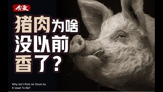 为什么现在的猪肉，吃起来没有以前香了？ [upl. by Wimsatt]