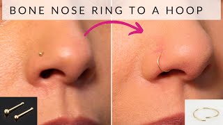 How to change bone nose ring to hoop nose ring [upl. by Eitsyrc]