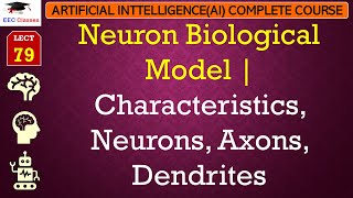 L79 Neuron Biological Model  Characteristics Neurons Axons Dendrites  Artificial Intelligence [upl. by Otreblon203]