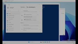 GuideInstall WindowsNotepad into Internet Blocked OS  Server 2025 [upl. by Chaves]