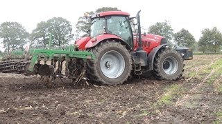 Maisstoppel einarbeiten mit CASE IH Power [upl. by Melonie]