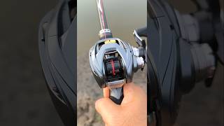 Daiwa Steez A ลื่นแบนี้ 2024 จะถ่อยมาดีไหม shots fishing daiwa daiwareels [upl. by Suoicerp]