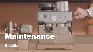 The Barista Express®  Our tutorial on how to descale your espresso machine  Breville USA [upl. by Amadis]