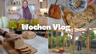 Unsere letzte Tomaten Ernte  Vollkorn Zimtschnecken erster versuch  VLOG [upl. by Haikan]