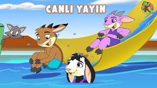 Türkçe  Çizgi Film amp Çocuk Masalları  CANLI YAYIN  KONDOSAN [upl. by Garnet]