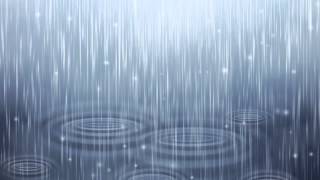 Nature Sounds Rain Sounds One Hour for Sleeping Sleep Aid for Everybody [upl. by Rosalynd351]