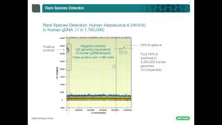 Precise Counting of Targeted Nucleic Acids Has Never Been Easier [upl. by Ecnarepmet61]