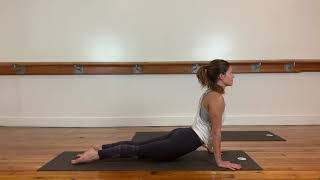 Chaturanga to Upward Facing Dog Transition [upl. by Noyr]