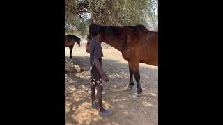 Horse master horselover youtubeshorts youtubechamps [upl. by Yentihw813]