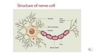 Introduction to autonomic pharmacology [upl. by Orva]