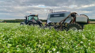 My first season demoing the Horizon DSX NoTill Drill amp Horizon SPX StripTill Cultivator [upl. by Cock552]