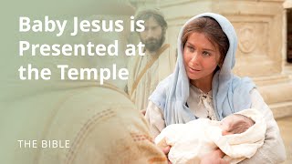 Luke 2  The Christ Child Is Presented at the Temple  The Bible [upl. by Jarv]