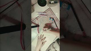 Drawing with me ✨ First page Bullet journal doodles bulletjournal journaling drawing [upl. by Marlyn]