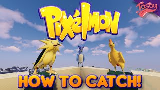 How to catch Zapdos Moltres and Articuno in Pixelmon  Pokecentral pixelmon server [upl. by Carn]