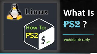 Tutorial on What Is PS2 [upl. by Edina985]