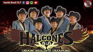 Mix Halcones De San Luis🎶  Los Mejores Exitos Sonido Brasil🎶🎧 [upl. by Godber]