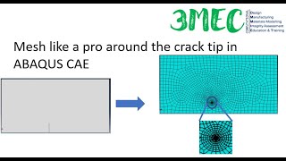 Mesh like a pro around the crack tip in ABAQUS CAE [upl. by Ecineg]