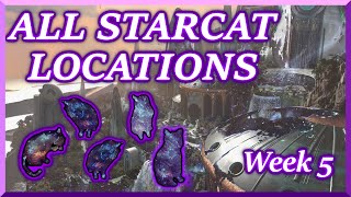 All Starcats for Week 5 Its Bugged Familiar Felines Triumph  Destiny 2 [upl. by Aseret654]