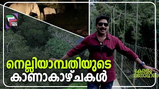 നെല്ലിയാമ്പതിയുടെ കാണാകാഴ്ചകൾ II KERALAM MANOHARAM II Episode 04 [upl. by Atikihs]