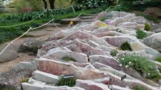 New Crevice Garden Showcasing Miniature and Alpine Plants Chicago Botanics Rock Garden May 2023 [upl. by Gibe]