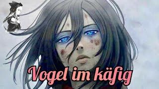 Vogel im Kafig AoT Hiroyuki Sawanonightcorelyrics [upl. by Alisander]