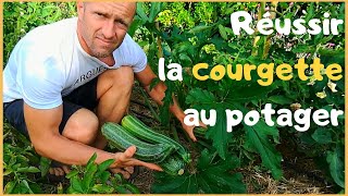 RÉUSSIR LA COURGETTE AU POTAGER [upl. by Charles]