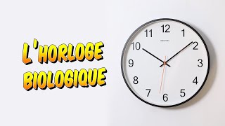 Psychologie  Comment fonctionne notre horloge biologique [upl. by Stelu500]