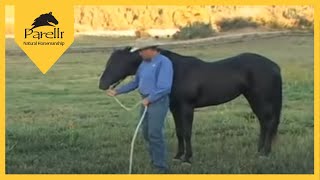 Parelli Natural Horse Training Tip  Pat Parelli shows how to lead a horse [upl. by Ronny]