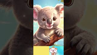 Little Koala kids song about Koala kidssong koala kidslearning [upl. by Ees]