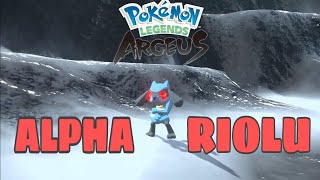 Catching Alpha RIOLU  POKEMON LEGENDS ARCEUS [upl. by Anas]