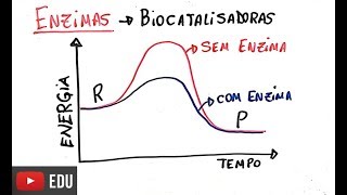 Proteínas  Enzimas [upl. by Gadmann]