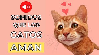 Sonidos que los Gatos Aman 😻 Sonidos para Atraer a tu Gato [upl. by Ahtnicaj]