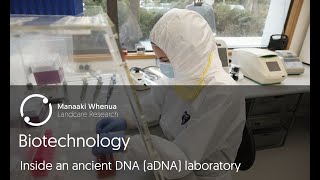 Biotechnology Inside an ancient DNA aDNA laboratory [upl. by Clower]