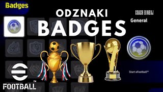 ⭐ Badges  odznaki ⭐ [upl. by Ahtnamas]