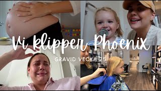 GRAVID VECKA 25  VI KLIPPER PHOENIX [upl. by Accisej]