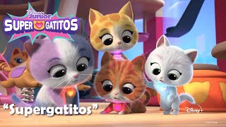 Supergatitos  Cancion de apertura  Video musical 🎶  Disney [upl. by Yelram]