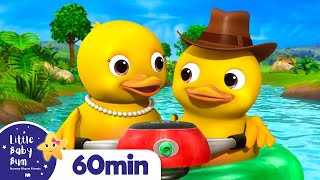 10 Little Ducks  More Animal Nursery Rhymes for Kids  Little Baby Bum [upl. by Naira]