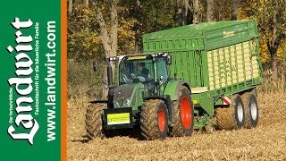 Maisstroh für Biogas  landwirtcom [upl. by Ayadahs]