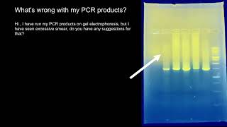 PCR and Gel Electrophoresis troubleshooting [upl. by Muraida]