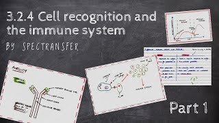 EASY REVISION AQA ALevel Biology 324 Cell recognition and the immune system PART 12 [upl. by Ameerak]