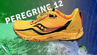 Saucony Peregrine 12 gets a BOOST [upl. by Lisbeth478]