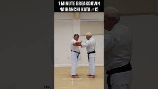 Naihanchi Brutal Application  1 minute kata shorts wado [upl. by Canter]